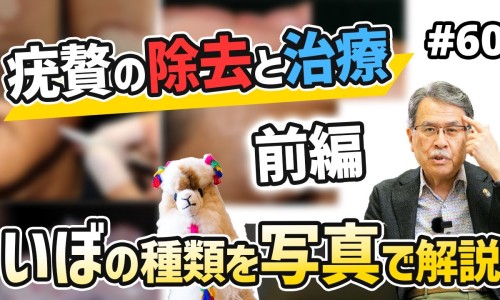 参益胶囊的功效与主治-参百益胶囊价格是多少钱一盒专区_参百益胶囊作用与功效专区_参佰益胶囊价格查询网