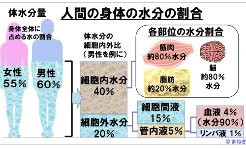 参百益胶囊价格是多少钱一盒-参百益胶囊价格是多少钱一盒专区_参百益胶囊作用与功效专区_参佰益胶囊价格查询网